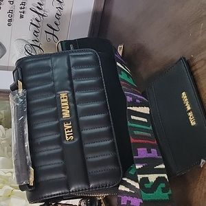 SUPER GORGEOUS STEVE MADDEN BAG